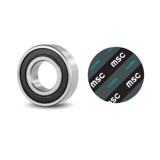 LEZAJ 6000 2RS MSC CODEX