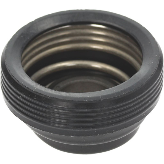 SEMERING PUMPE 113BH03 00065548